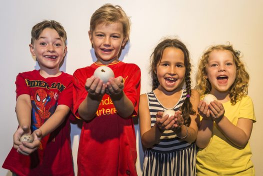 The Australian Museum Egg Hunt