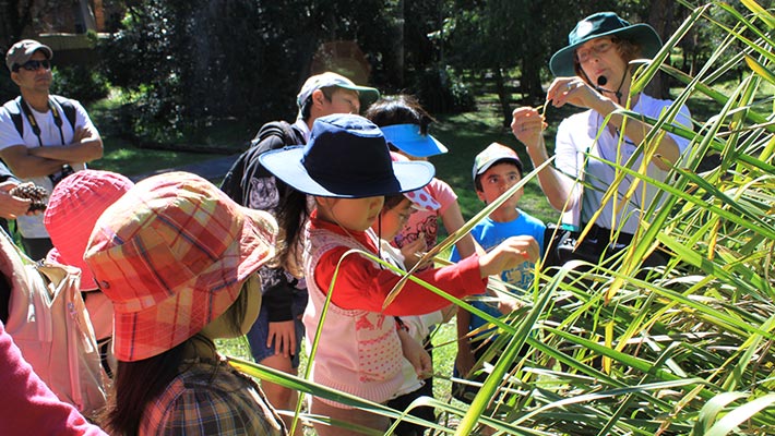 World Environment Day 2017 – Field of Mars Discovery