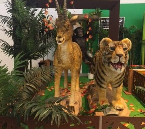 Rhodes Waterside School Holiday Safari