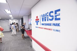 WiSE Specialist Emergency Clinic
