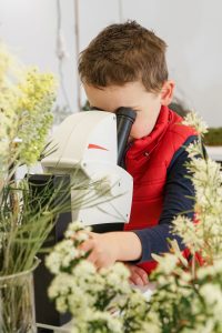 Science in the Swamp, Centennial Parklands