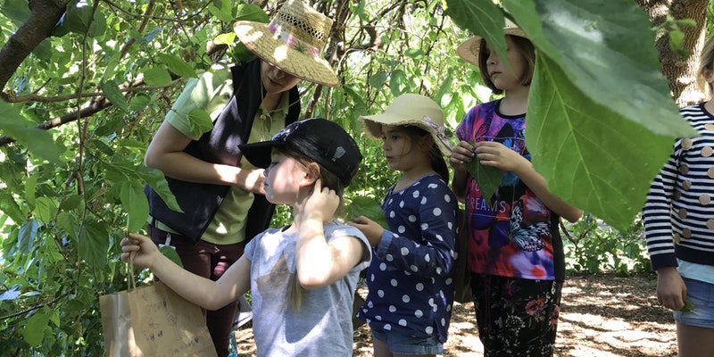 Hunters and Collectors, Royal Botanic Garden