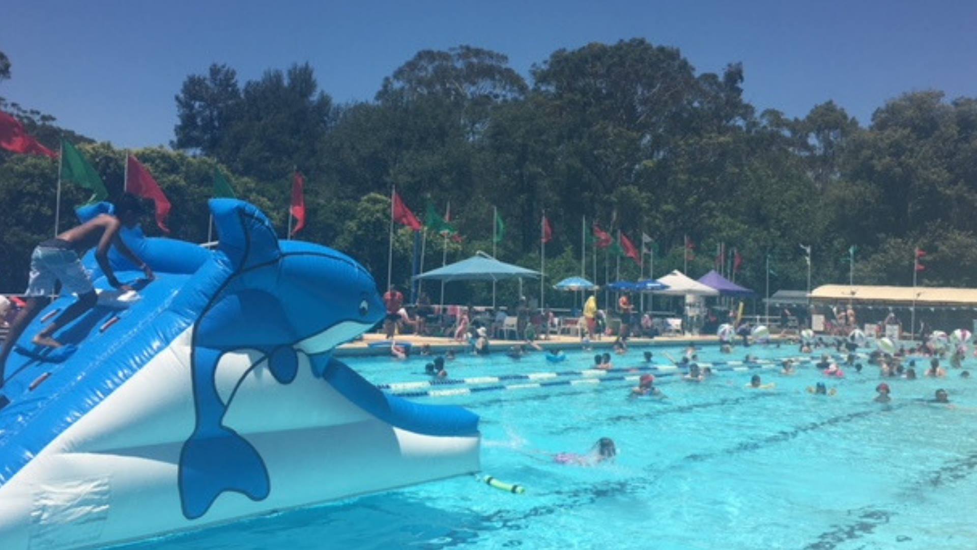 Epping Pool Christmas Party