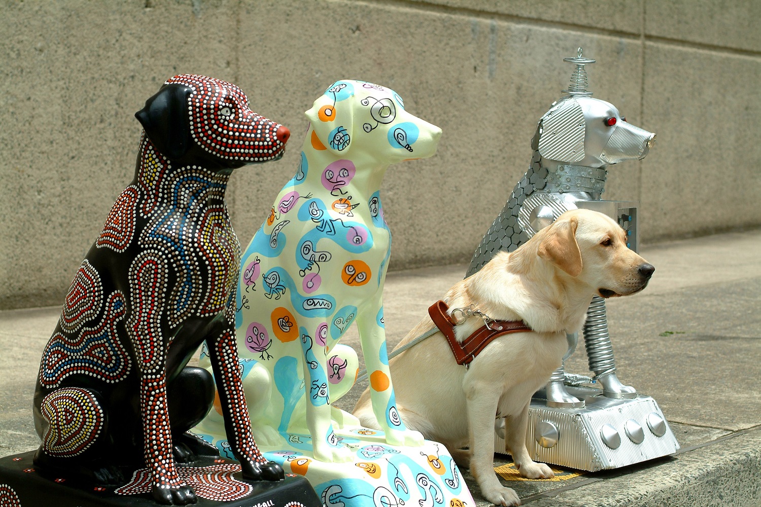 60 Tails – 60 Years of Guide Dogs exhibition