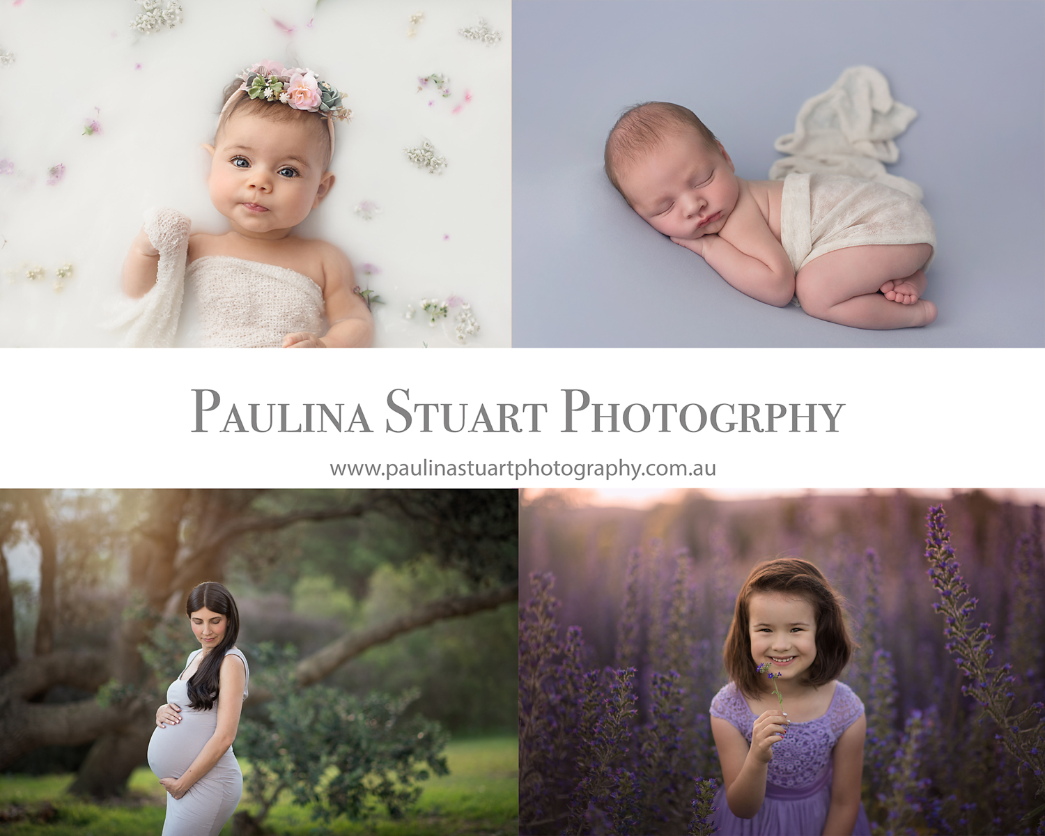Paulina Stuart Photography