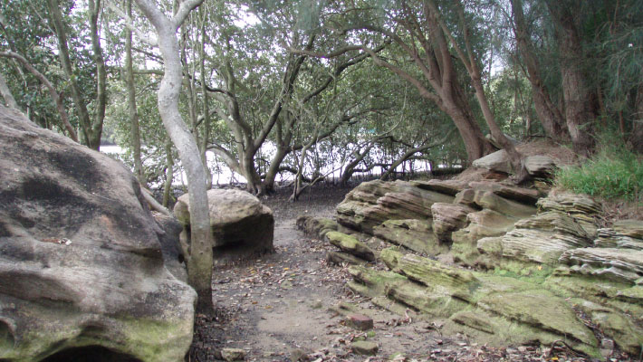 Guided Walk: NAIDOC Week - Glades Bay