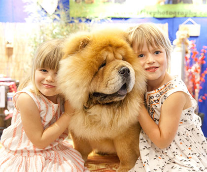 The Dog Lovers Show, Hordern Pavillion