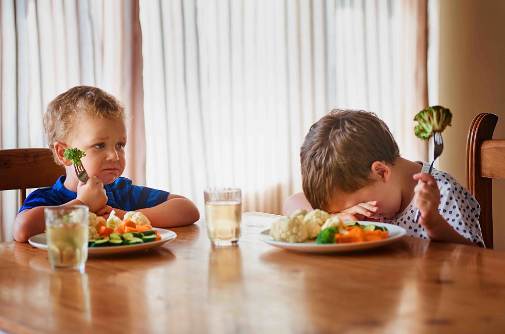 Tackling the Toddler Years Workshop, The Establishment Hotel CBD