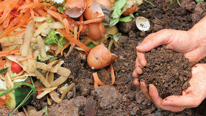 Composting and Worm Farming Workshop