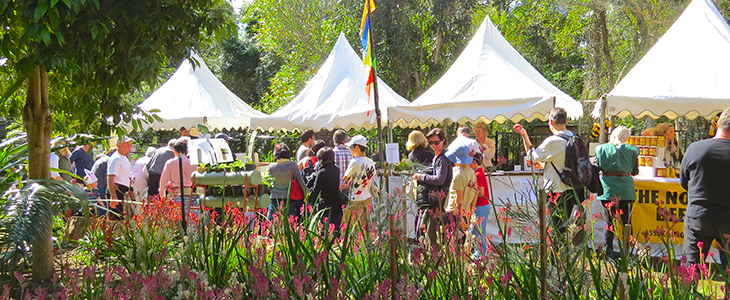 Wildflower Art and Garden Festival, St Ives
