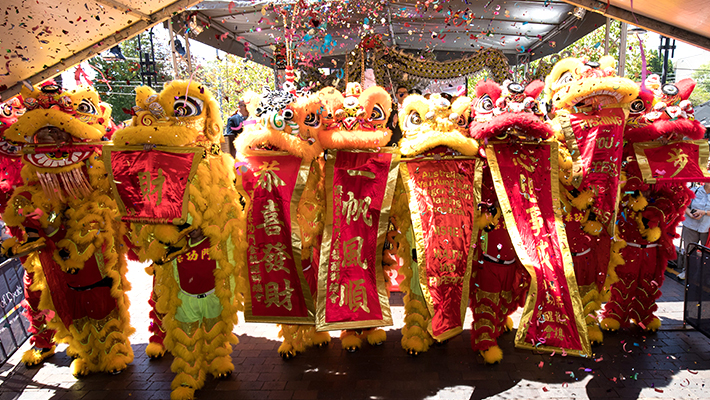 Lunar New Year Grand Celebration Day 2019