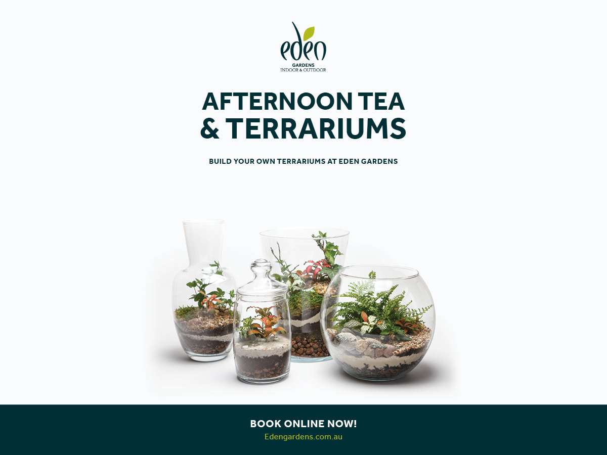 Terrarium Workshop
