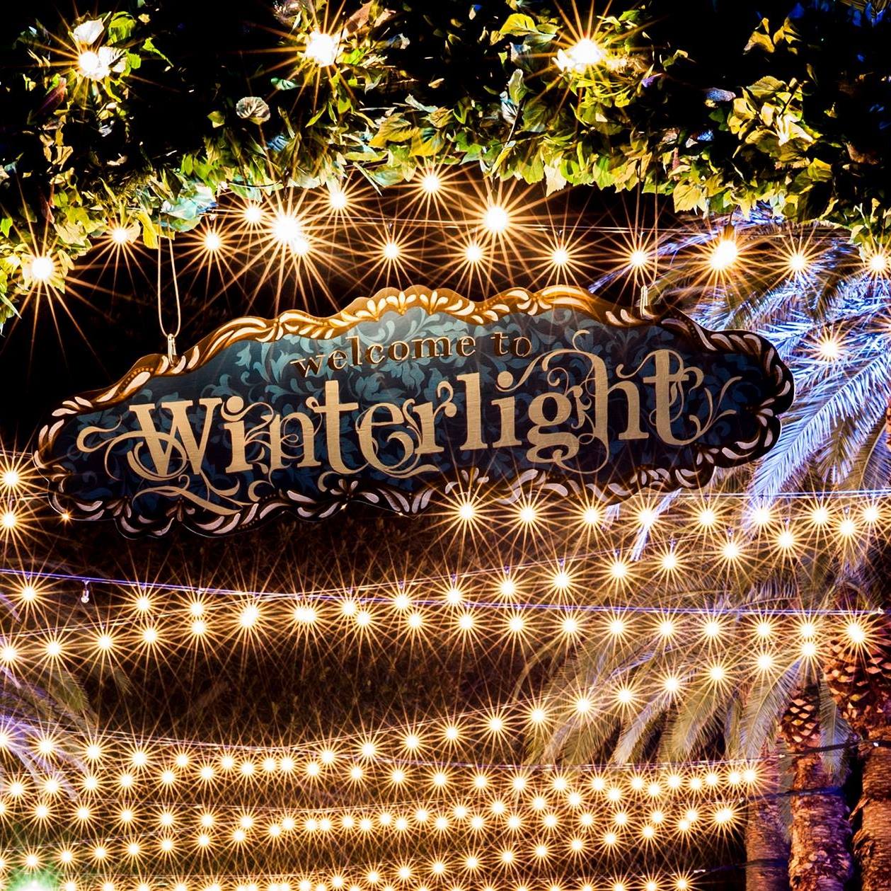 Winterlight, Parramatta