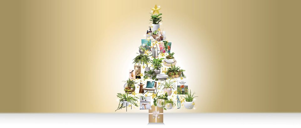 Eden Gardens Christmas Party