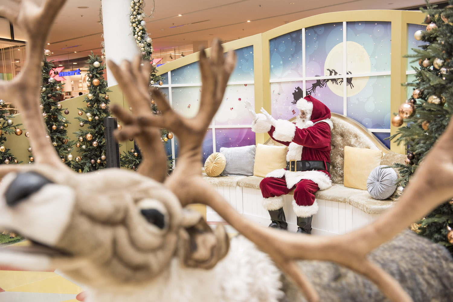 Santa's Arrival Day @ Chatswood Chase