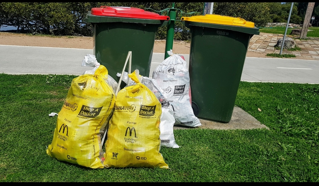Meadowbank Wharf Clean Up