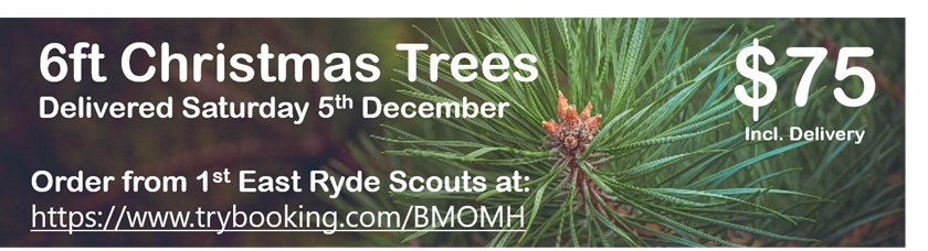 Fresh Cut Xmas Trees - 1st East Ryde Scouts