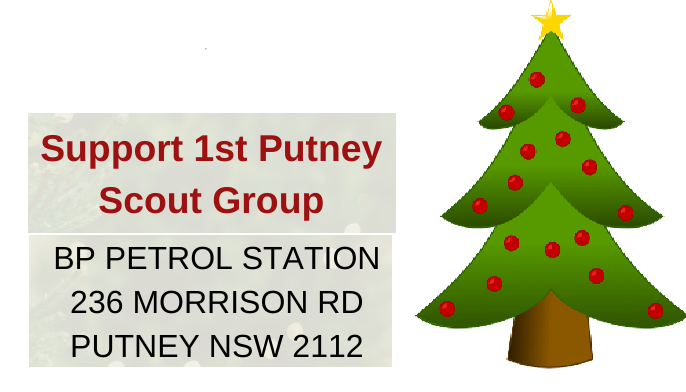 Xmas trees 1st Putney Scouts Sat 9th Dec