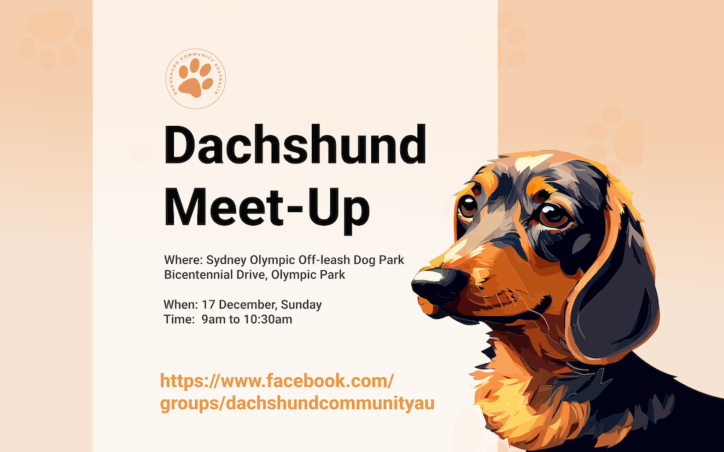 Dachshund Community Meet-up