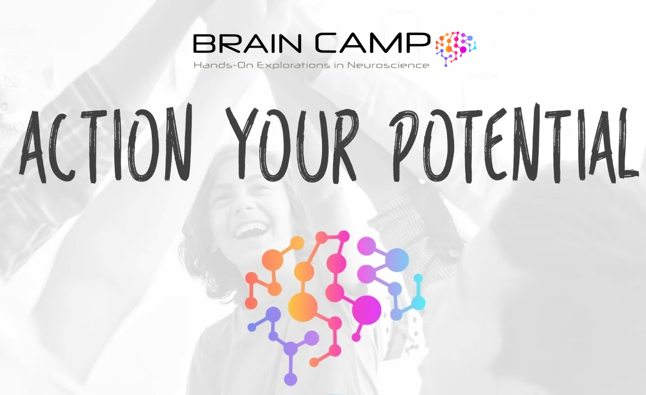 Brain Camp
