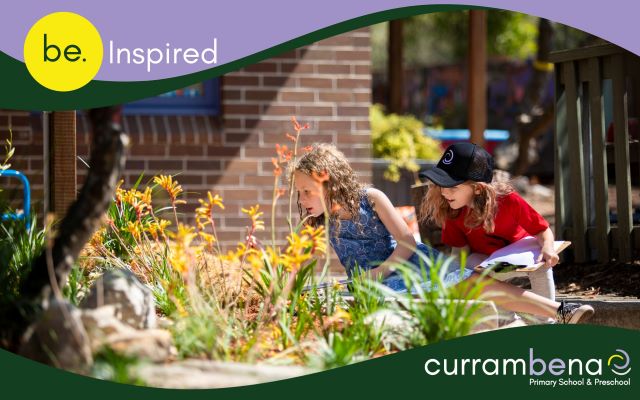 Currambena Preschool and Primary School Information Morning